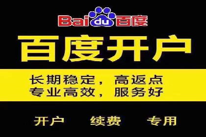 SEM广告案例：精准定位实现客户转化